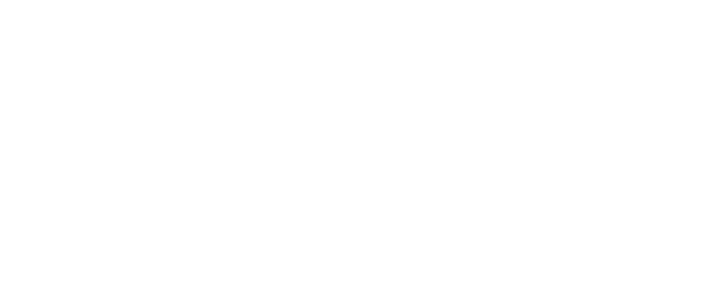 BVC Logo - Title Sponsor